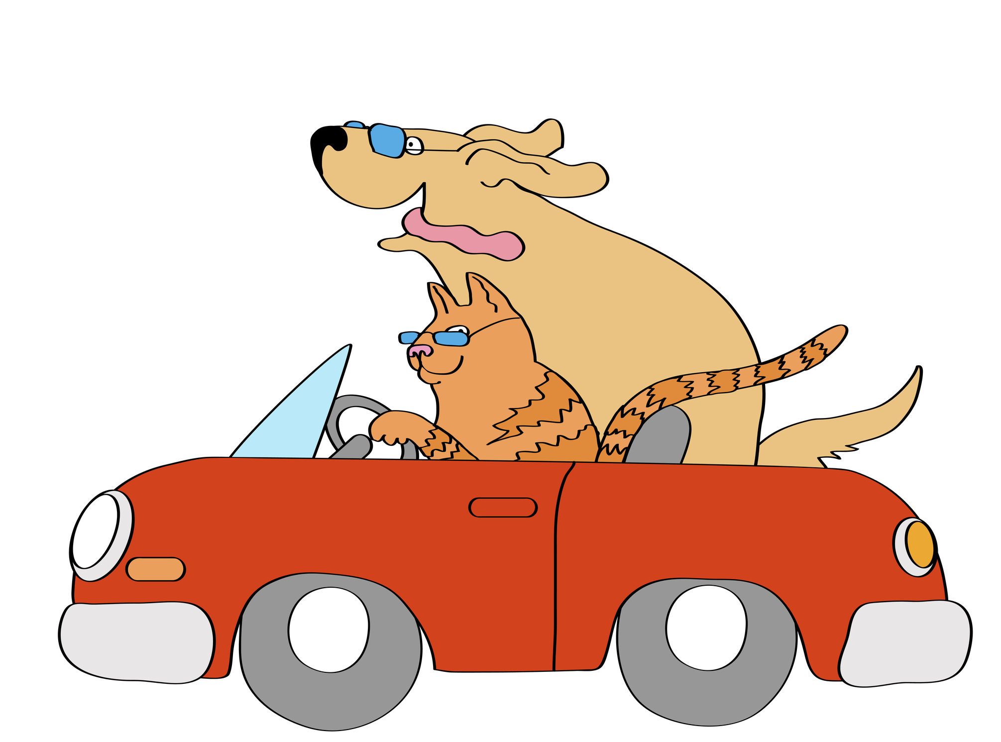 Tips for Pet Safety in the Car